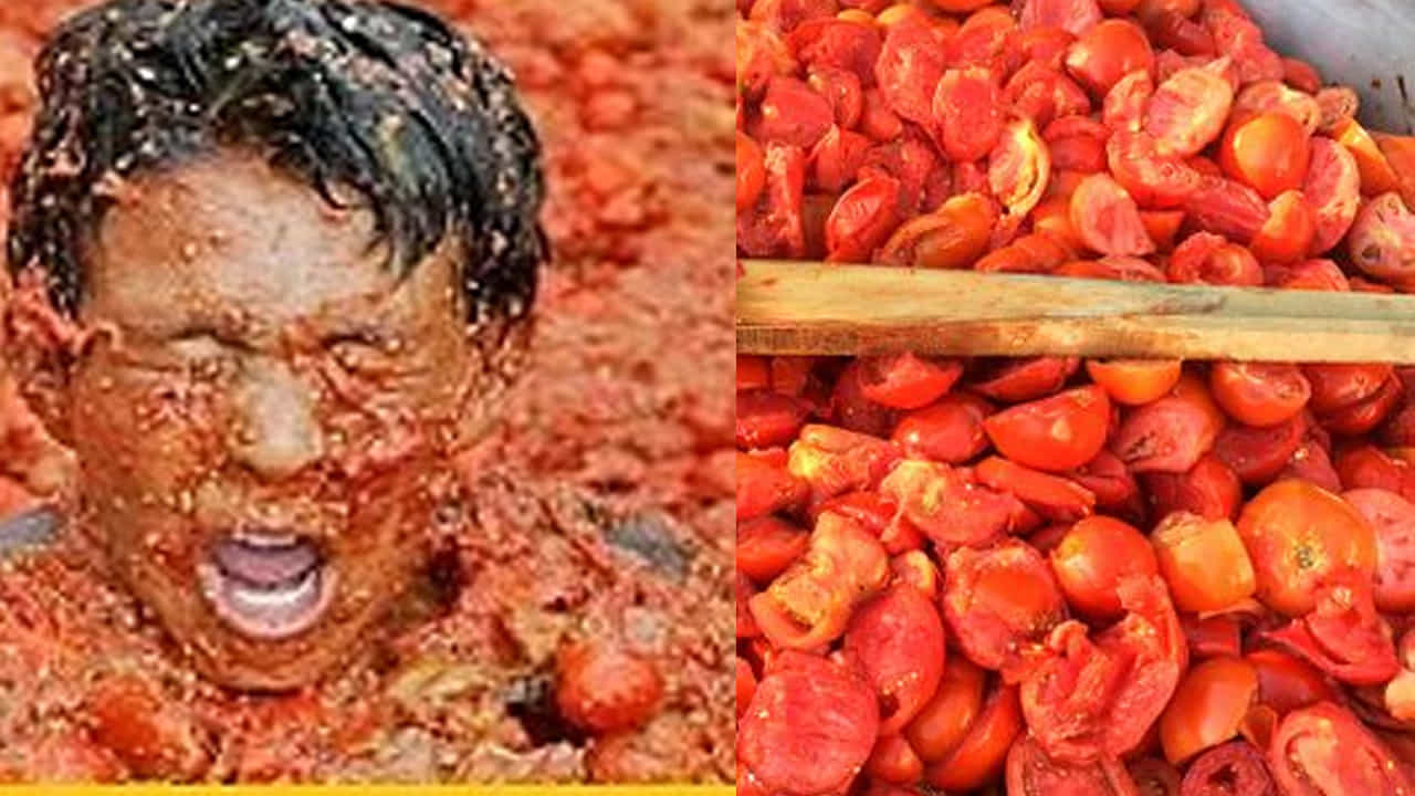 టమాటాలు పోయడం: ఉత్తరప్రదేశ్లో ఒక ప్రత్యేకమైన ఆచారం ఉంది. ఉత్తరప్రదేశ్లోని సరసౌల్లోని కొన్ని ప్రాంతాలలో వరుడి కుటుంబంపై గులాబీ రేకులకు బదులుగా టమోటాలు చల్లే ఆచారం వింతగా ఉంటుంది. అయితే ఈ ఆచారం సరదాగా ఉంటుంది.