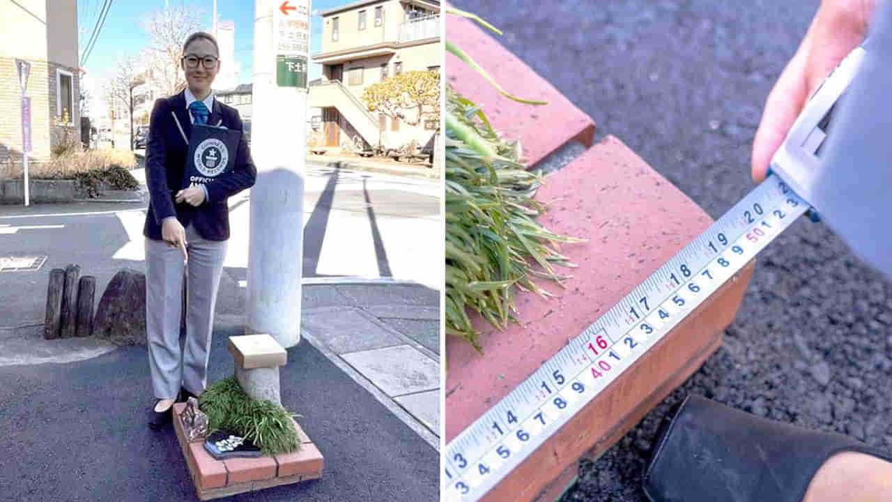 ప్రపంచంలోనే అతి చిన్న పార్క్.. సైజ్ తెలిస్తే అవాక్కే..! గిన్నిస్ వరల్డ్ రికార్డ్ షేర్ చేసిన వీడియో వైరల్.. ఎక్కడంటే..