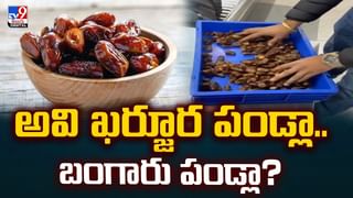 అప్పుడే మార్కెట్‌లోకి మామిడి పండ్లు.. కిలో ఎంతో తెలుసా వీడియో