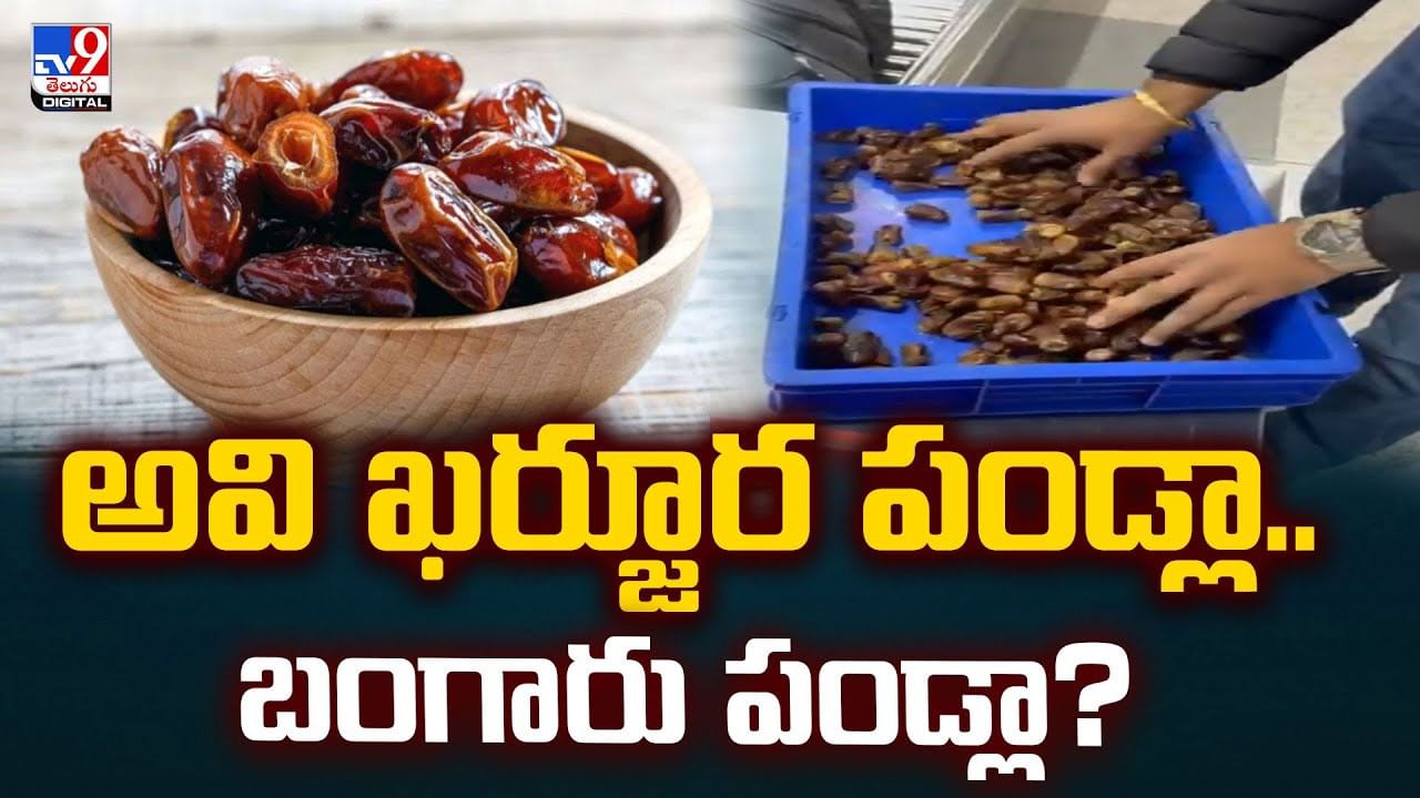అవి ఖర్జూర పండ్లా.. బంగారు పండ్లా? వీడియో