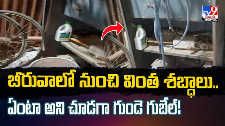 బీరువాలో నుంచి వింత శబ్ధాలు.. ఏంటా అని చూడగా గుండె గుబేల్! బీరువాలో నుంచి వింత శబ్ధాలు.. ఏంటా అని చూడగా గుండె గుబేల్!
