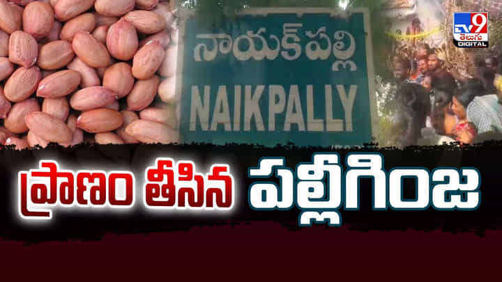 చిన్నారి ప్రాణం తీసిన పల్లీగింజ వీడియో చిన్నారి ప్రాణం తీసిన పల్లీగింజ వీడియో