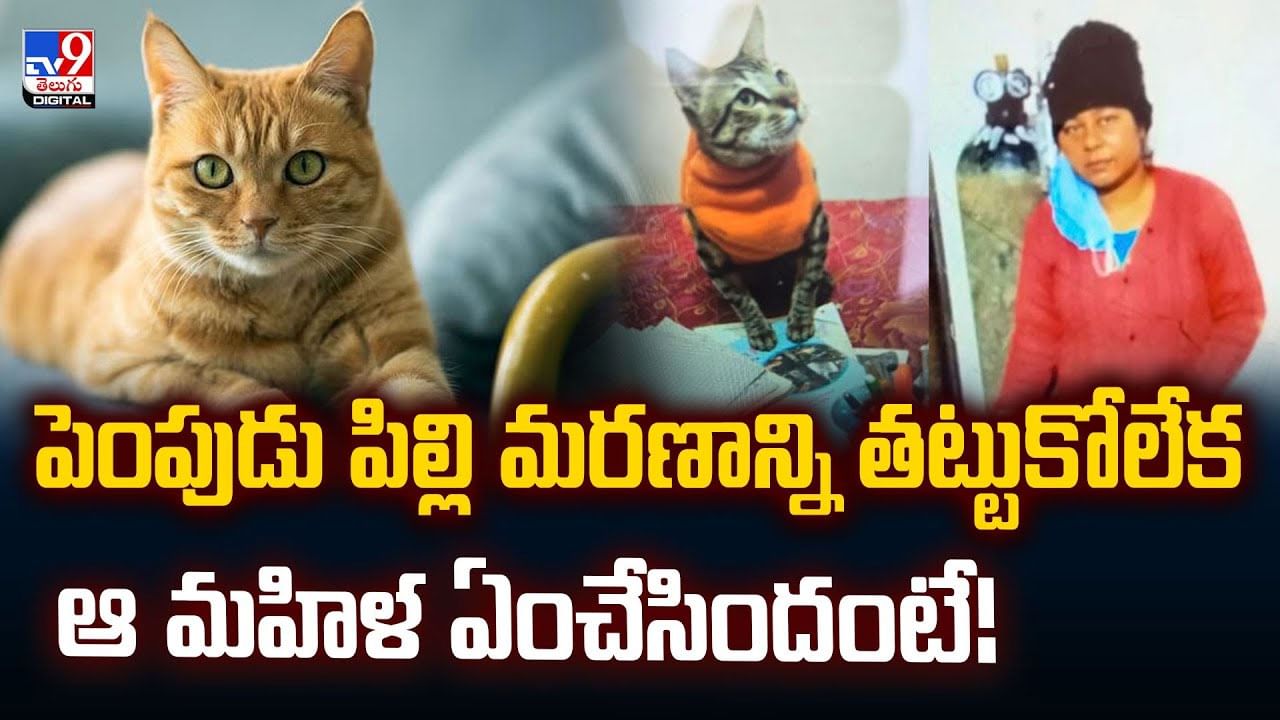 పెంపుడు పిల్లి మరణాన్ని తట్టుకోలేక ఆ మహిళ ఏంచేసిందంటే!