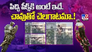 వీడిన బర్డ్ ఫ్లూ భయం.. చికెన్‌ షాపుల దగ్గర భారీగా క్యూ