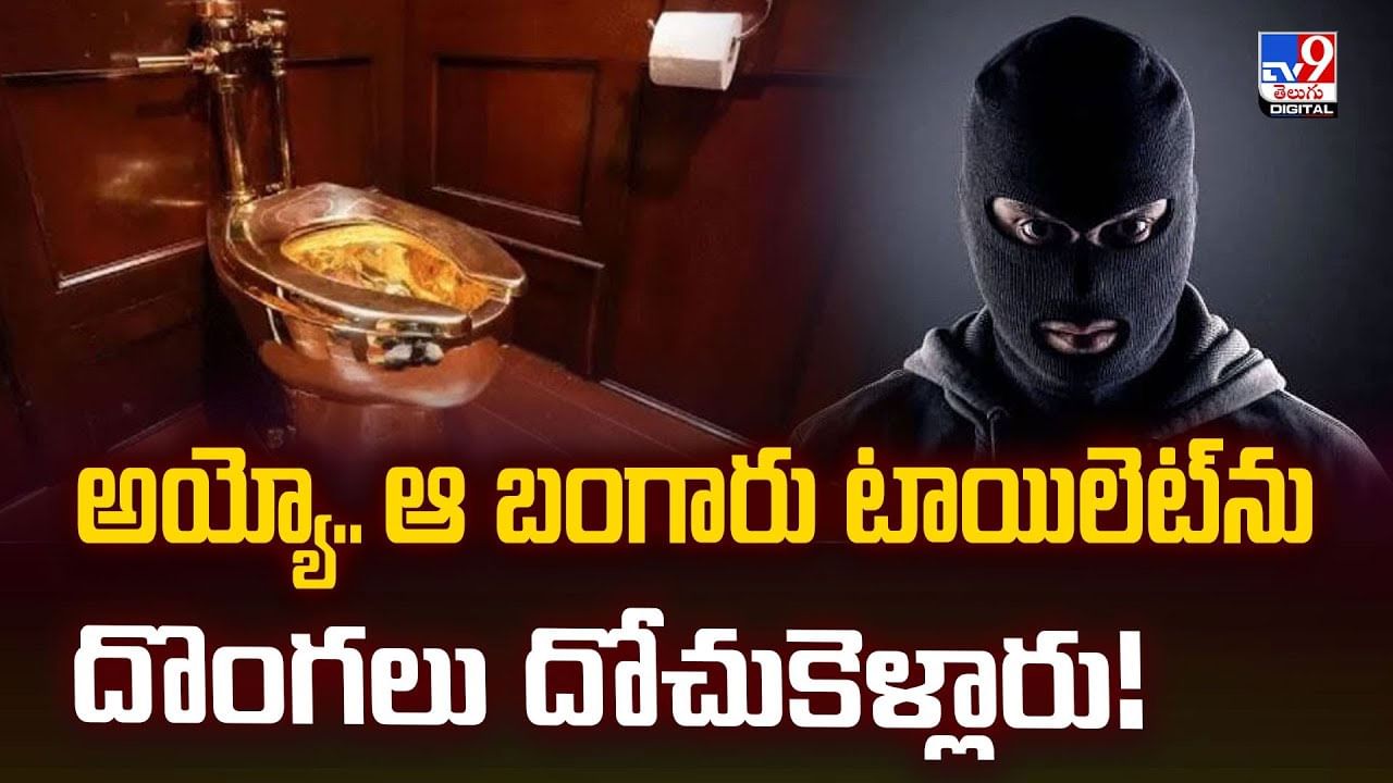 అయ్యో.. ఆ బంగారు టాయిలెట్‌ను దొంగలు దోచుకెళ్లారు!వీడియో
