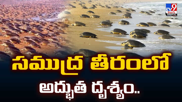 సముద్ర తీరంలో అద్భుత దృశ్యం.. చూడనీకి రెండు కళ్లు చాలవే.. వీడియో సముద్ర తీరంలో అద్భుత దృశ్యం.. చూడనీకి రెండు కళ్లు చాలవే.. వీడియో