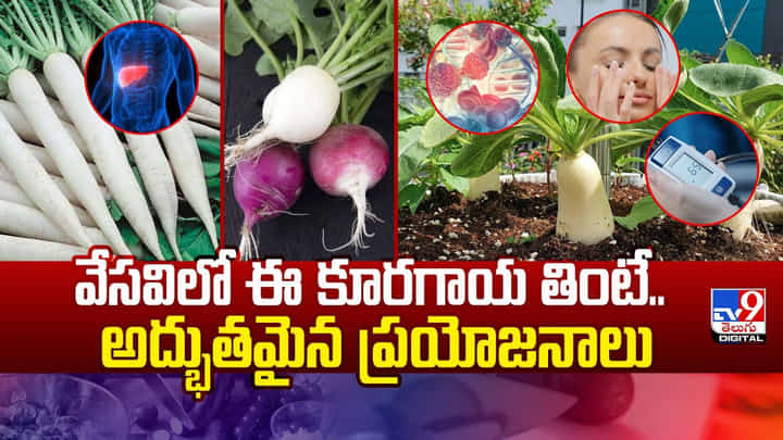 వేసవిలో ఈ కూరగాయ తింటే.. అద్భుతమైన ప్రయోజనాలు వీడియో వేసవిలో ఈ కూరగాయ తింటే.. అద్భుతమైన ప్రయోజనాలు వీడియో