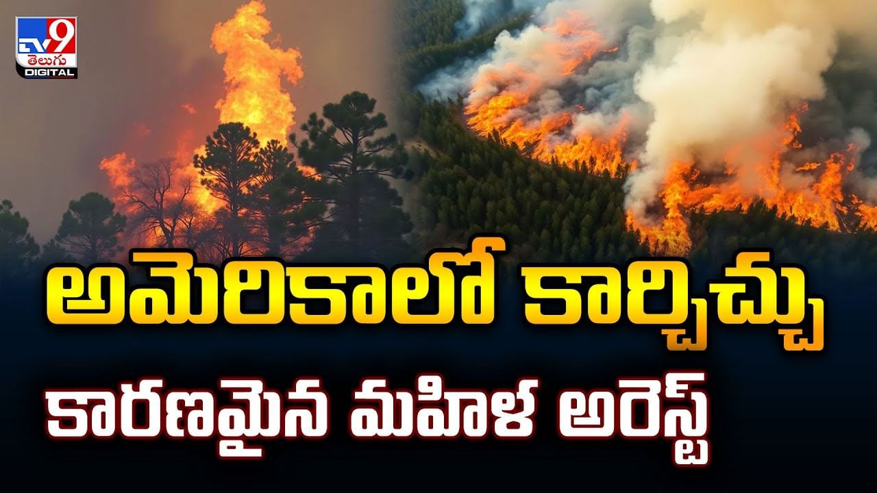 అమెరికాలో కార్చిచ్చుకారణమైన మహిళ అరెస్ట్‌ వీడియో