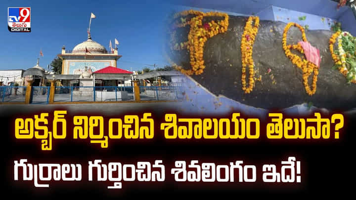 అక్బర్ నిర్మించిన శివాలయం తెలుసా..గుర్రాలు గుర్తించిన శివలింగం ఇదే! వీడియో అక్బర్ నిర్మించిన శివాలయం తెలుసా..గుర్రాలు గుర్తించిన శివలింగం ఇదే! వీడియో