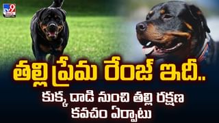 వామ్మో.. ఈ పాక్‌ యువతి సంపాదన చూస్తే షాకవుతారు నెలకు ఎంతంటే?వీడియో