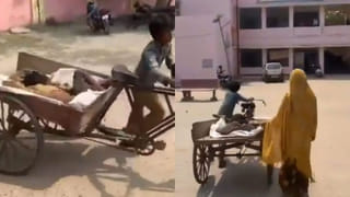 Viral Video: ఏతులకు రూ.50 కోట్ల కుక్క అని ప్రచారం… అసలు కథేందో తేల్చిన ఈడీ!