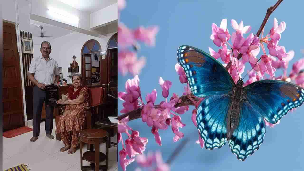 రెక్కలు తొడిగిన లైఫ్ డ్రీమ్.. 6 పదుల వయసులోనూ PhD పట్టా అందుకున్న బామ్మ..!