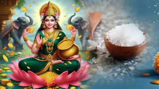 Vastu Tips: ఇంట్లో శివలింగాన్ని ప్రతిష్టించడానికి, పూజించడానికి వాస్తు నియమాలున్నాయని తెలుసా..