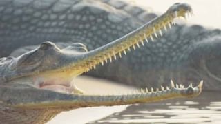 ఇదెక్కడి తంతు.. పెళ్లిలో వరుడి షూ దాచి రూ.50 వేలు డిమాండ్‌! 5 వేలే ఇచ్చాడని.. మరీ ఇలా చేస్తారా?