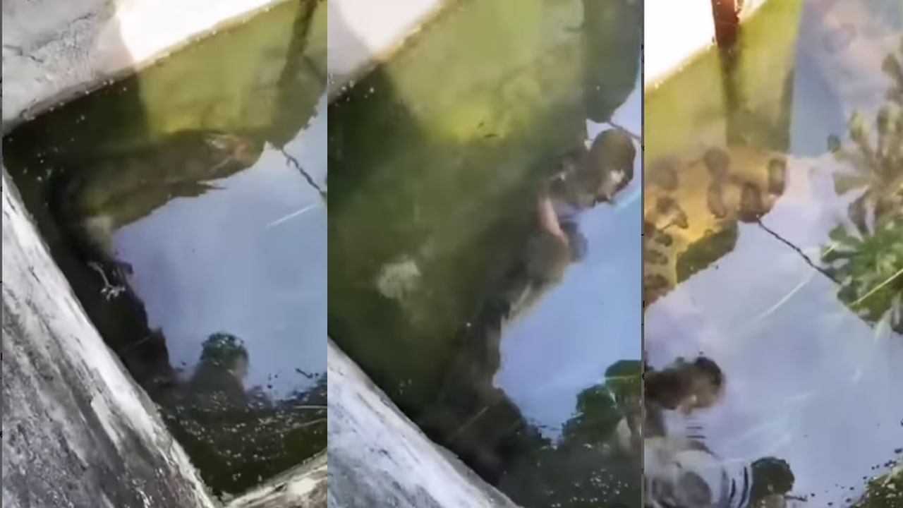 Viral Video: గంగో రేణుక తల్లి.. ఆ నీటి మడుగులో ఏముందో తెలిస్తే మీ గుండెలు గుభేల్