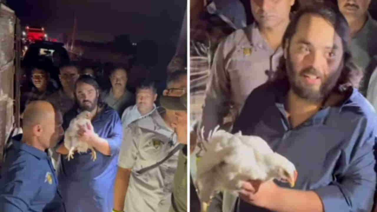 Viral Video: ఏకంగా కోళ్ల లారీనే కొనేసిన అనంత్‌ అంబానీ... విషయం తెలిసి అంతా షాక్‌
