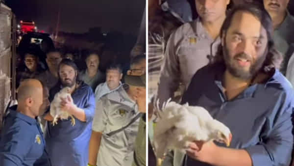 Viral Video: ఏకంగా కోళ్ల లారీనే కొనేసిన అనంత్ అంబానీ... విషయం తెలిసి అంతా షాక్