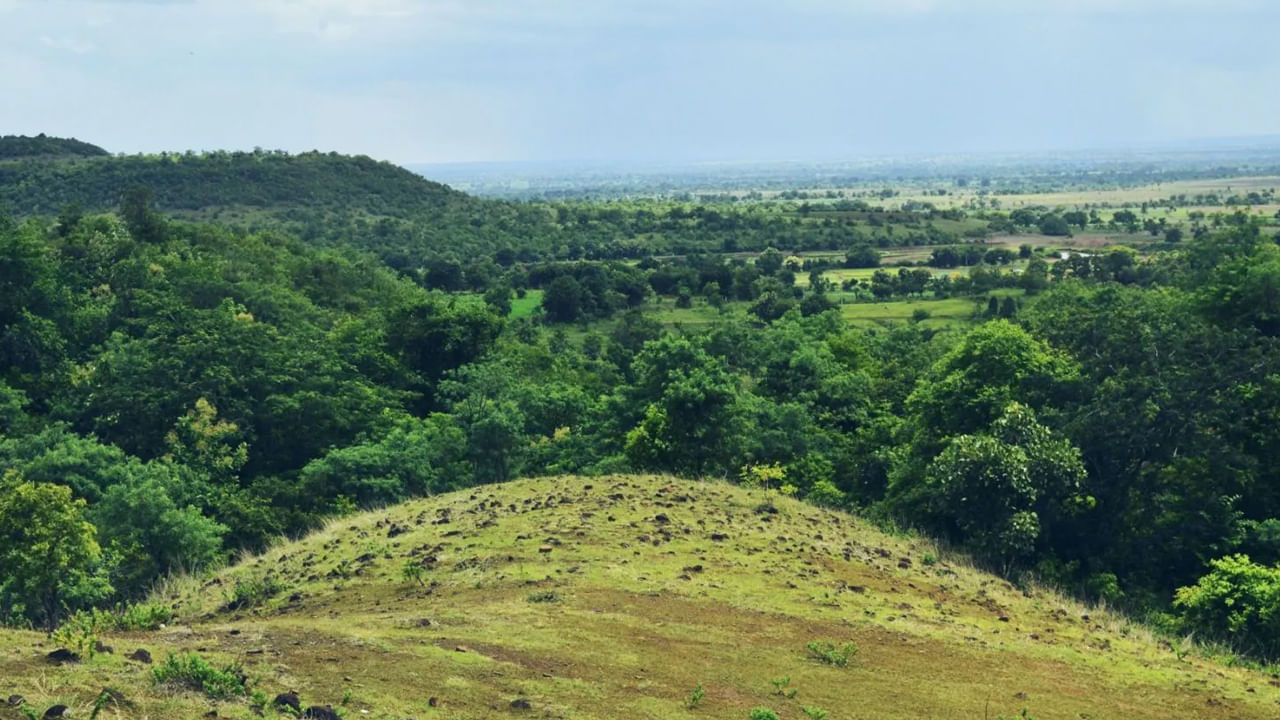 వికారాబాద్​ జిల్లాలో ఉన్న అనంతగిరి హిల్స్  హైదరాబాద్‌కు అతి చేరువలో ఉంటుంది. ఇక్కడి పచ్చదనం, లోయలు, కొండలు, జలపాతాలు చూస్తే మనసుకు ఎంతో ఉల్లాసంగా ఉంటుంది. నిన్న మొన్నటి ఒత్తిడినంత పక్కకు నెడుతూ ప్రకృతి అందాలను చూస్తూ మైమరిచిపోతారు.. అంత బాగుంటుంది ఈ ప్రాంతం. 
