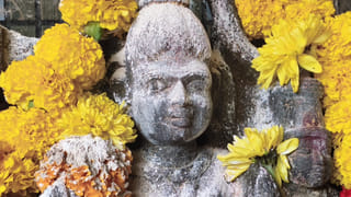 Vijaysai Reddy: మాజీ ఎంపీ విజయసాయిరెడ్డి సంచలన నిర్ణయం.. బీజేపీలో చేరేందుకు మంతనాలు..!