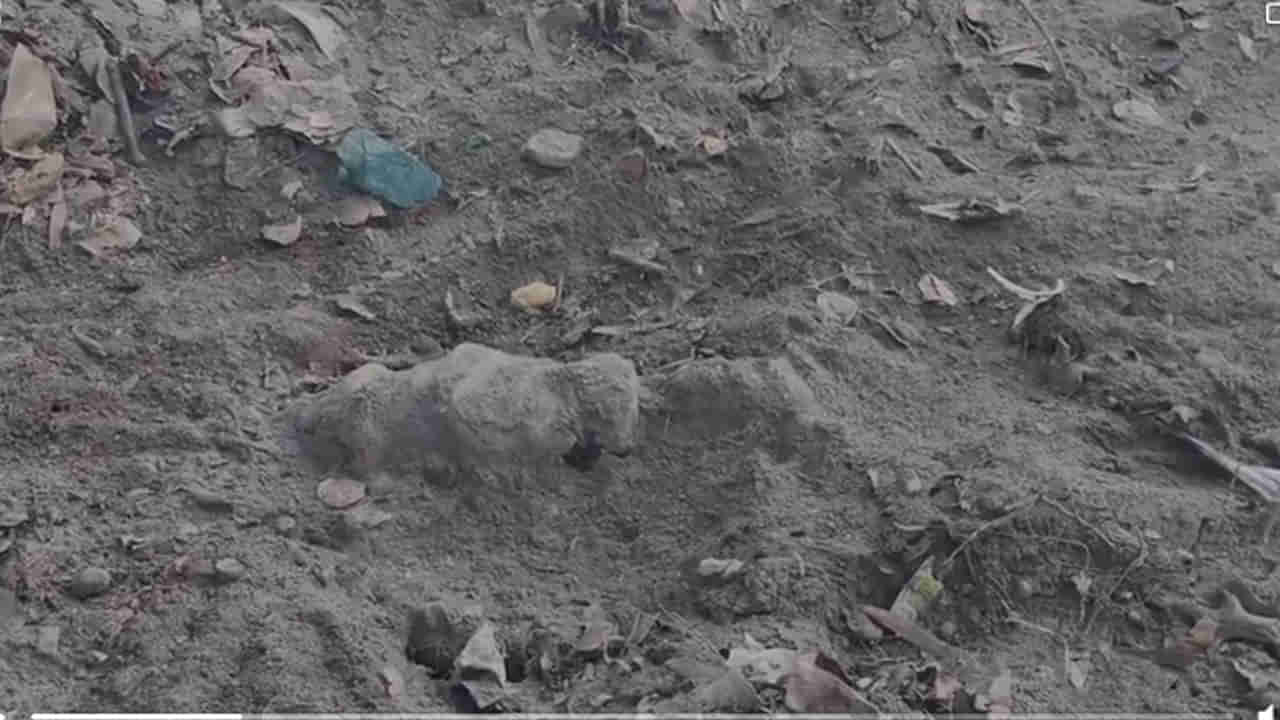 Telangana: అడవి సమీపాన సేద తీరుతుండగా.. మట్టిలో కనిపించిన నల్లటి ఆకారం.. తవ్వి చూడగా