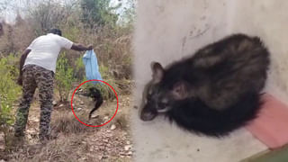 Andhra News: ఏపీలో టెన్త్ ఫలితాలు విడుదల అప్పుడే.. డేట్ ఎప్పుడంటే.?