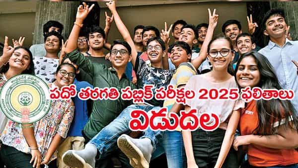 AP 10th Class Results 2025: పదో తరగతి పబ్లిక్ పరీక్షల ఫలితాలు వచ్చేశాయ్.. రిజల్ట్స్ ఇక్కడ చెక్ చేసుకోండి