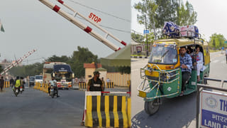 Viral Video: పశువుల పాకలో హడలెత్తిపోతున్న ఆవులు.. ఏంటా అని వెళ్లి చూడగా..