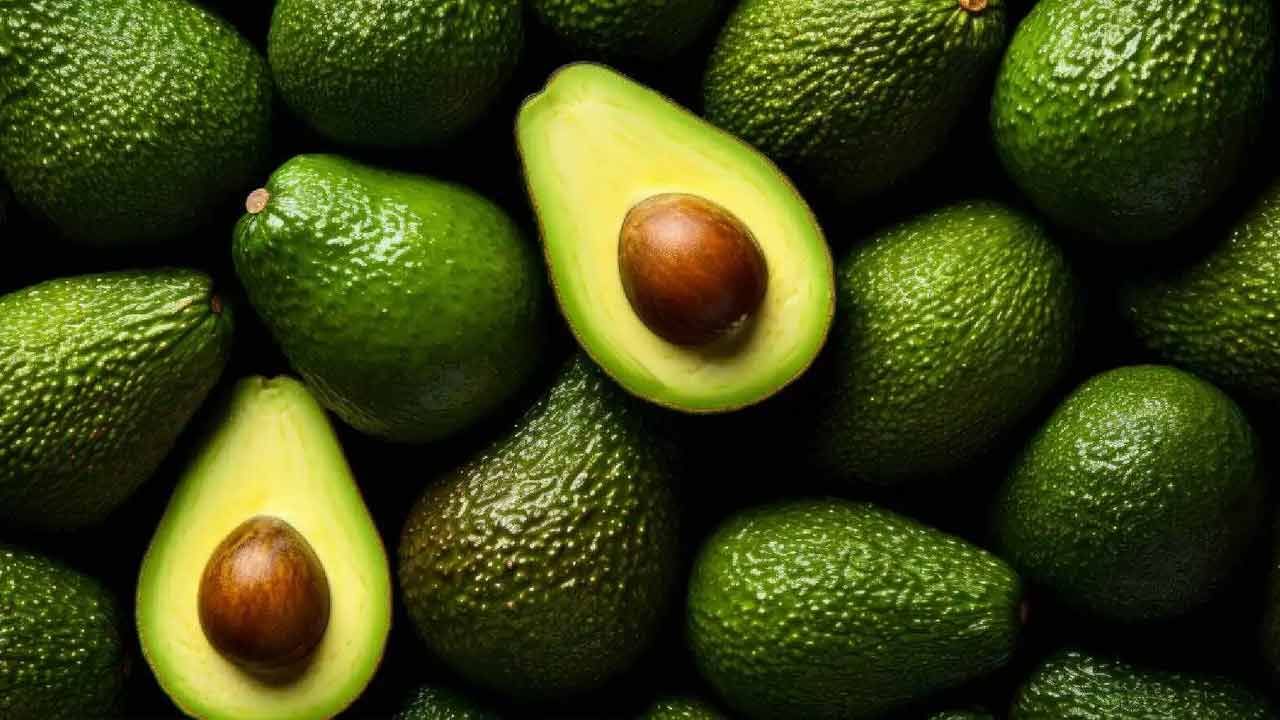 Avocado: మార్నింగ్ బ్రేక్ ఫాస్ట్‌లో అవకాడో తింటే కలిగే ప్రయోజనాలు తెలిస్తే..