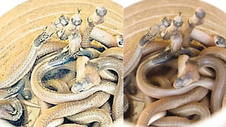 Anti-Ship Missile: ఎప్పుడైనా.. ఎక్కడైనా మేం సిద్ధం.. యాంటీ షిప్‌ మిసైల్స్‌ను పరీక్షించిన ఇండియన్‌ నేవీ!