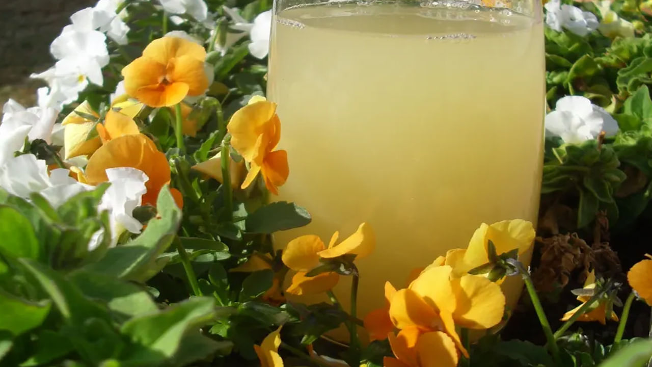 అధిక బరువుతో ఇబ్బంది పడుతున్న వారు బార్లీ నీరు తీసుకోవడం వలన అధిక బరువుని నియంత్రించవచ్చు. అంతేకాదు. బార్లీ నీరు తాగడం వలన రోగ నిరోధక శక్తి పెరుగుతుంది. జీర్ణక్రియ పనితీరు మరింత మెరుగుపడుతుంది. ఛాతీలో మంట ,గ్యాస్ సమస్యతో బాధ పడేవారికి ఈ బార్లీ నీటిని తాగితే కాస్త ఉపశమనం కలుగుతుంది. 