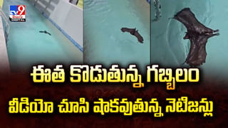 300 అడుగుల ఎత్తులో తలకిందులుగా ఉద్యోగి.. చివరకు..