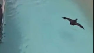 Video: మెట్రోలో ఈ అమ్మాయి చూడండి ఏం చేసిందో! మెట్రోలో ఉన్నోళ్లంతా షాక్‌..