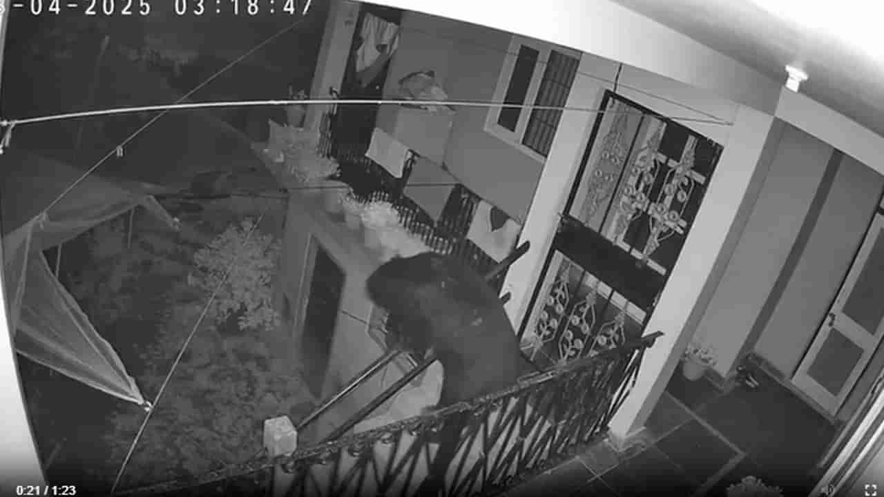 Watch: అర్ధరాత్రి గేటు మీద ఏదో వింత ఆకారం.. నేరుగా ఇంట్లోకి చొరబడింది..!