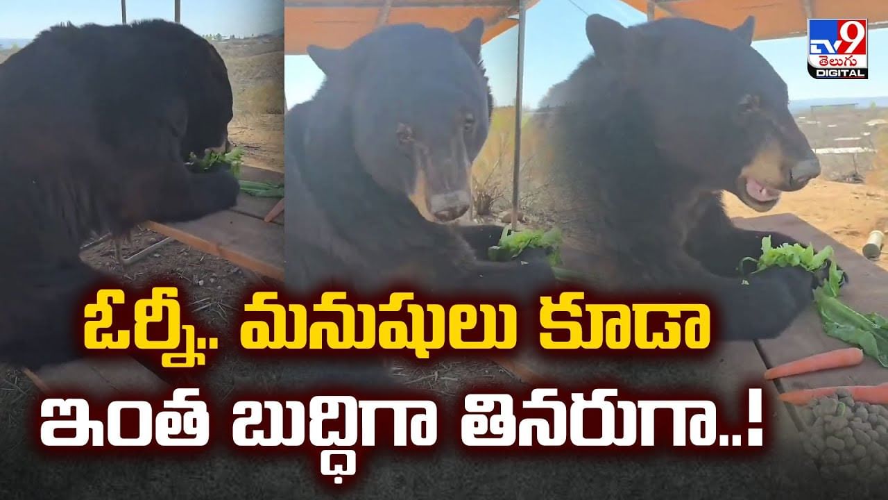 ఓర్నీ.. మనుషులు కూడా ఇంత బుద్ధిగా తినరుగా