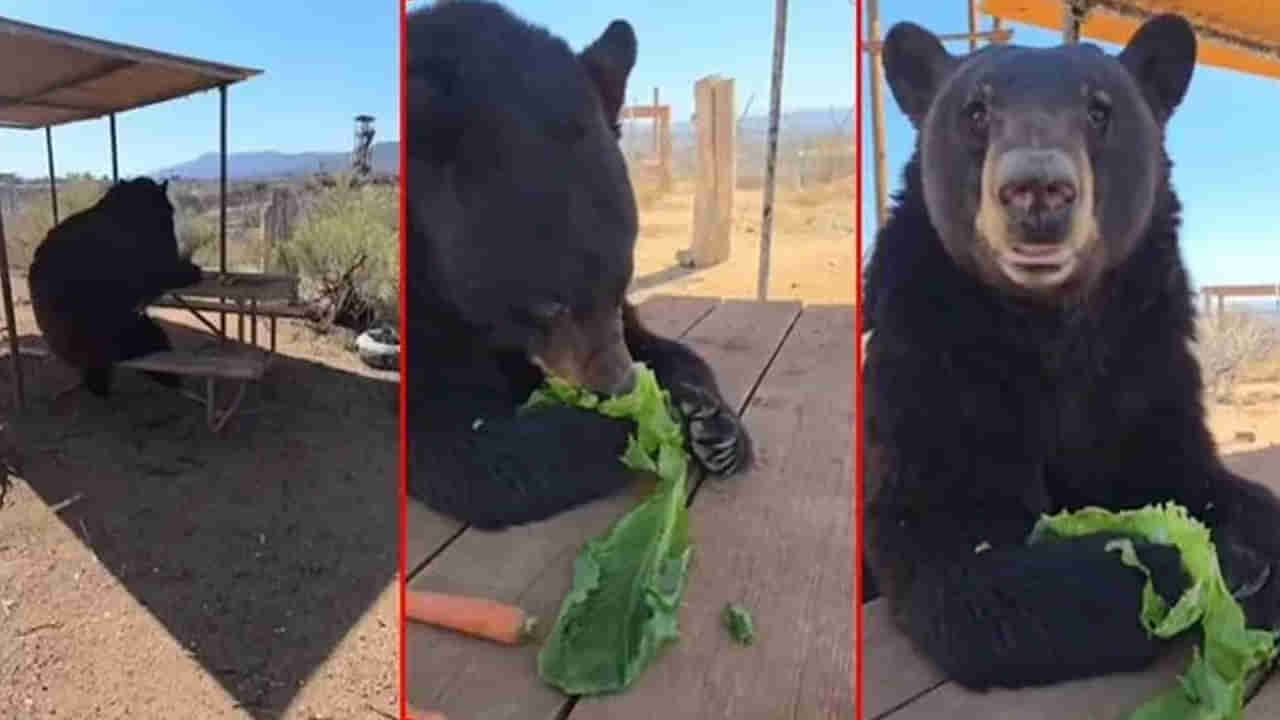 Viral Video: ఓర్నీ.. మనుషులు కూడా ఇంత బుద్ధిగా తినరుగా..!