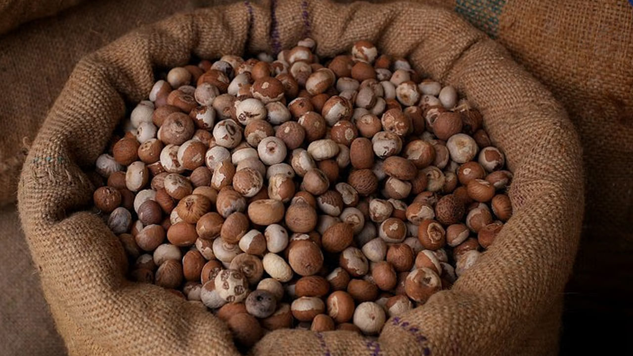 వక్కల్లో యాంటీఆక్సిడెంట్స్ ఉంటాయి. ఇవి క్యాన్సర్ బారిన పడకుండా నిరోధిస్తాయి. వీటిల్లో నొప్పి తగ్గించే లక్షణం కూడా ఉంటుంది. వీటికున్న యాంటీఇన్‌ఫ్లమేటరీ లక్షణాల  కారణంగా నొప్పి నుంచి ఉపశమనం లభిస్తుంది. వక్కలు తినటం వల్ల రక్తంలో చక్కెర స్థాయిలు నియంత్రించబడతాయి. రుమటాయిడ్ ఆర్థరైటిస్‌తో బాధపడేవారికి ఉపశమనం కలుగుతుంది. 