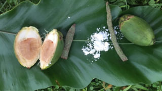 సమ్మర్‌ స్పెషల్ పుచ్చకాయ ఇలా తింటేనే ఉత్తమం..! నిపుణులు ఏం చెబుతున్నారంటే..