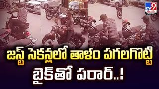 కరెంట్‌ తీగలపై మేక విన్యాసాలు.. వీడియో చూస్తే షాక్ అవుతారు