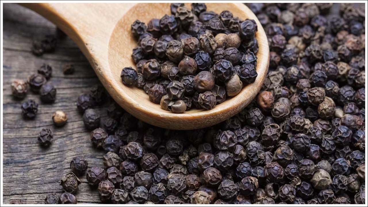 Black Pepper: నల్ల మిరియాలను "సుగంధ ద్రవ్యాల రాజు" అని కూడా పిలుస్తారు. ఇది ఆహార రుచిని పెంచడానికి మసాలాగా ఉపయోగించడమే కాకుండా, మన ఆరోగ్యానికి కూడా చాలా ప్రయోజనకరంగా ఉంటుంది. నల్ల మిరియాలను వేల సంవత్సరాలుగా ఆయుర్వేద వైద్యంలో ఉపయోగిస్తున్నారు, ఇప్పుడు దీనికి సంబంధించిన శాస్త్రీయ ఆధారాలు కూడా వెలుగులోకి వచ్చాయి.