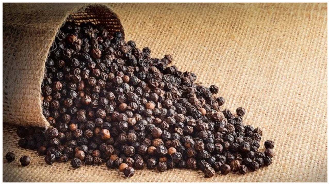 నల్ల మిరియాలు ఆరోగ్యానికి ఎలా మేలు చేస్తాయి? : నల్ల మిరియాల ప్రధాన ప్రయోజనాలు జీర్ణవ్యవస్థ నుండి రోగనిరోధక శక్తి, నిద్ర, చర్మం, జుట్టు, బరువు నియంత్రణ, చక్కెర నియంత్రణ వరకు ఉంటాయి. జీర్ణక్రియకు నల్ల మిరియాలు ఒక అద్భుతమైన నివారణగా పరిగణిస్తారు. ఆయుర్వేదంలో ఇది జీర్ణ అగ్నిని పెంచుతుందని అంటారు. నల్ల మిరియాలు జీర్ణ ప్రక్రియను వేగవంతం చేస్తాయి. అలాగే శరీరం నుండి గ్యాస్, అజీర్ణం, ఇతర కడుపు సమస్యలను తొలగించడంలో సహాయపడతాయి. నిద్రపోయే ముందు నల్ల మిరియాలు తినడం వల్ల గ్యాస్, అజీర్ణం వంటి సమస్యల నుండి ఉపశమనం లభిస్తుంది. జీర్ణవ్యవస్థను ఆరోగ్యంగా ఉంచుతుంది.