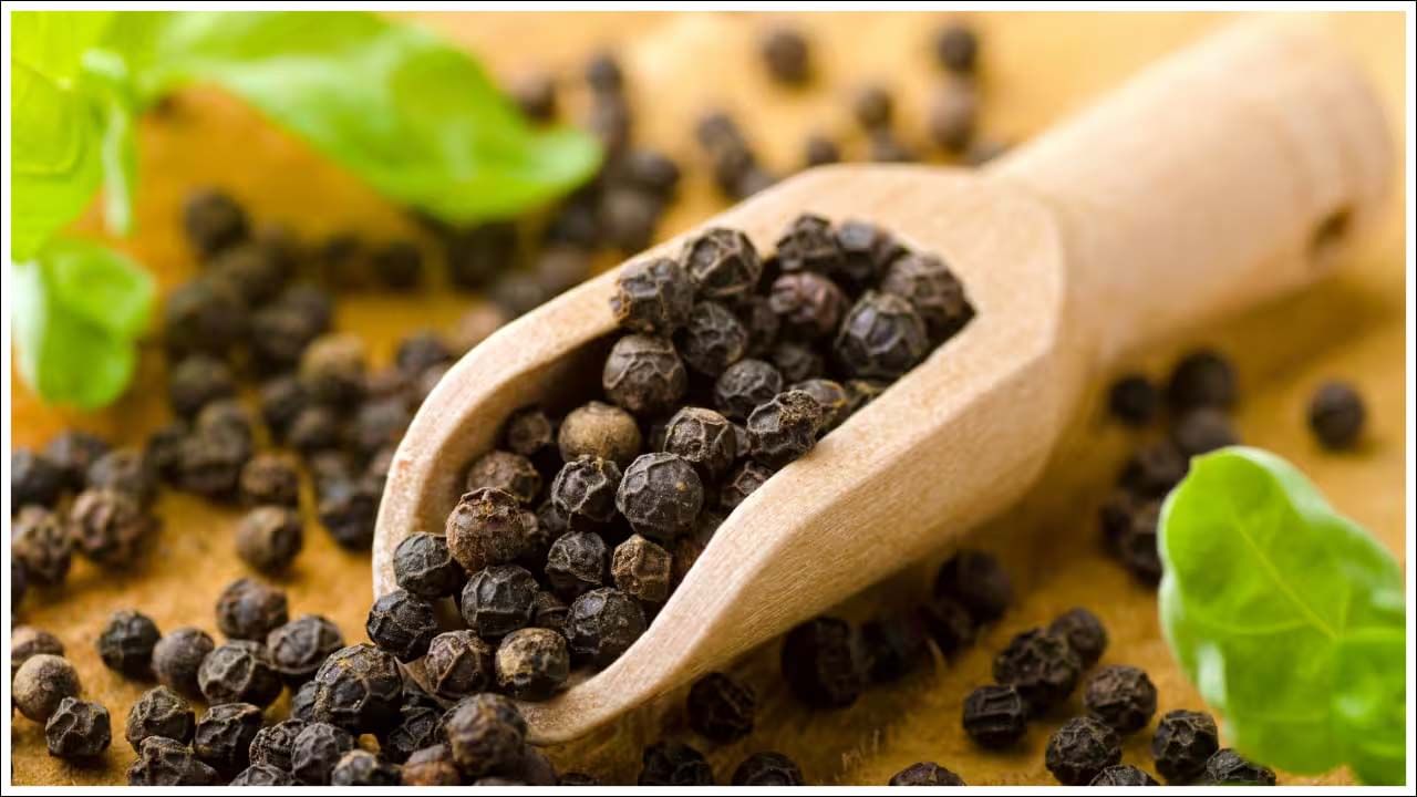 నల్ల మిరియాల ఆరోగ్య ప్రయోజనాల్లో మరో ముఖ్యమైన అంశం ఏమిటంటే, ఇది రక్తంలో చక్కెర స్థాయిలను నియంత్రించడంలో సహాయపడుతుంది. శరీరం ఇన్సులిన్ సున్నితత్వాన్ని పెంచుతుంది. డయాబెటిస్ రోగులు దీన్ని క్రమం తప్పకుండా తీసుకోవడం వల్ల మంచి ఫలితాలు పొందవచ్చు. నల్ల మిరియాలు శ్వాసకోశ సమస్యలను కూడా తగ్గిస్తాయి. ఇది శ్లేష్మం తగ్గించడానికి, ఊపిరితిత్తులను క్లియర్ చేయడానికి సహాయపడుతుంది. ఆస్తమా, బ్రోన్కైటిస్ వంటి సమస్యలలో నల్ల మిరియాలు తీసుకోవడం ప్రయోజనకరంగా ఉంటుంది. దీనితో పాటు, నల్ల మిరియాలు తీసుకోవడం ద్వారా కొలెస్ట్రాల్ స్థాయిలను నియంత్రించవచ్చు. ఇది గుండె జబ్బుల ప్రమాదాన్ని తగ్గించడంలో సహాయపడుతుంది. 