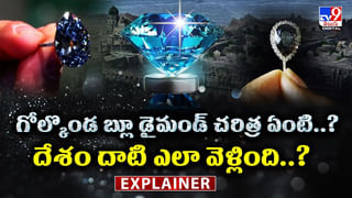 ఏంటి మావా అదేమైనా పిల్లి అనుకున్నావా.. అలా ముద్దులు పెడుతున్నావ్