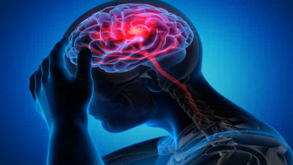 Brain Health: ఏ వయసులోనైనా మెదడు పాదరసంలా పనిచేయాలంటే ఈ అలవాట్లు ఉండాల్సిందే..