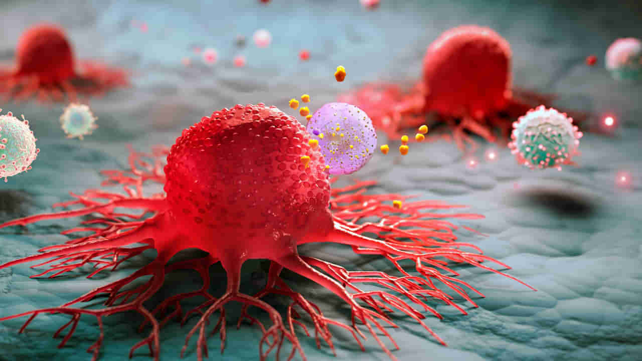 వామ్మో.. వీటితో క్యాన్సర్ రిస్క్ పెరుగుతుందా..? భయం పుట్టిస్తున్న కొత్త రిపోర్ట్