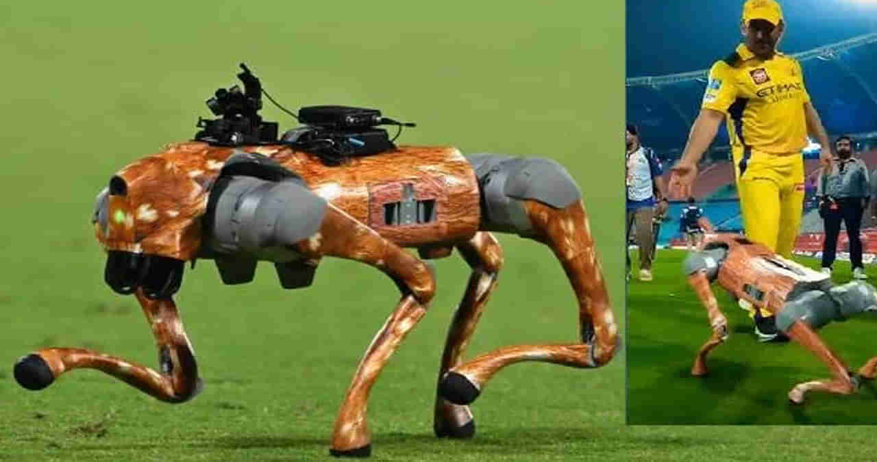 రోబోట్‌ కుక్క వల్ల చిక్కుల్లో BCCI.. ఏకంగా హైకోర్టు నుంచి నోటీసులు!