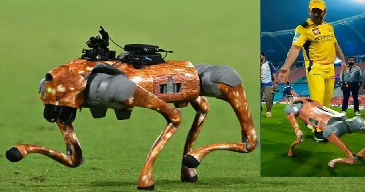 రోబోట్‌ కుక్క వల్ల చిక్కుల్లో BCCI.. ఏకంగా హైకోర్టు నుంచి నోటీసులు!