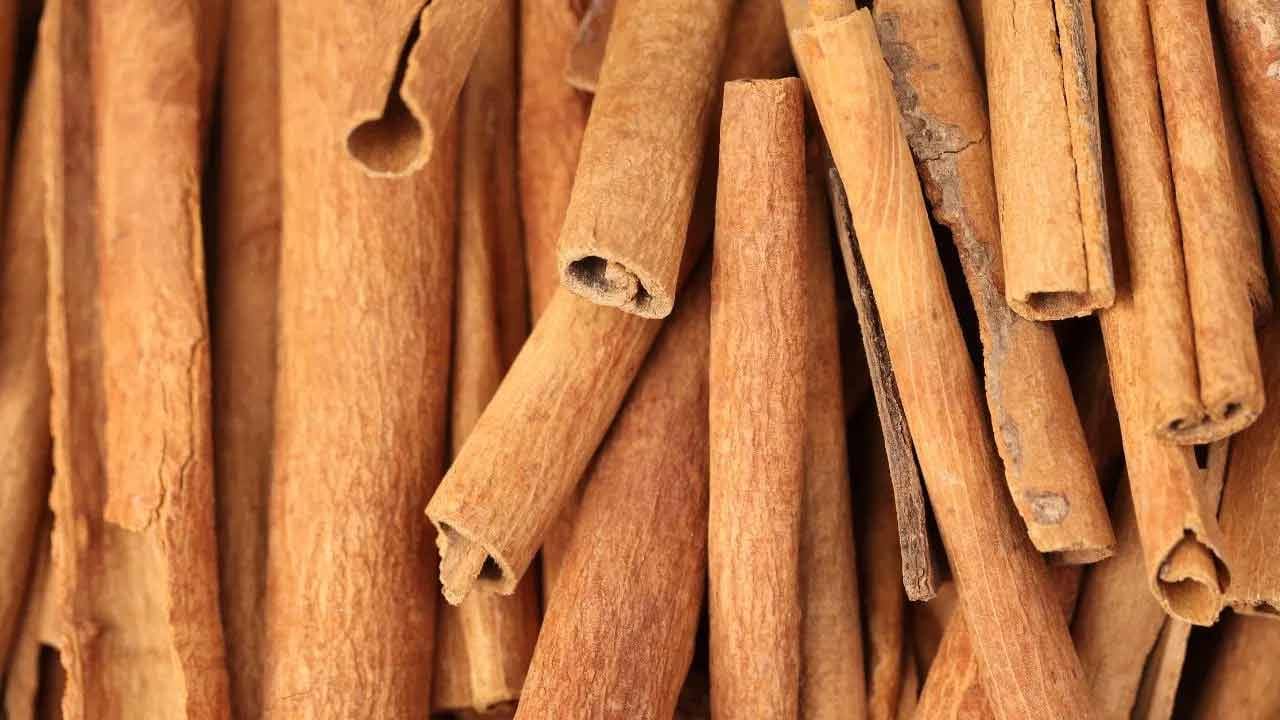 దాల్చిన చెక్క గుండె ఆరోగ్యాన్ని మెరుగుపరచడంలో సహాయపడుతుంది. దీన్ని క్రమం తప్పకుండా తీసుకోవడం వల్ల ట్రైగ్లిజరైడ్స్ తగ్గుతాయి. ఈ మసాలా దినుసు ప్రీబయోటిక్ లక్షణాలు జీర్ణ ఆరోగ్యాన్ని మెరుగుపరచడంలో సహాయపడతాయి. దాల్చిన చెక్క తీసుకోవడం వల్ల రక్తంలో చక్కెర స్థాయిలు నియంత్రించవచ్చు.