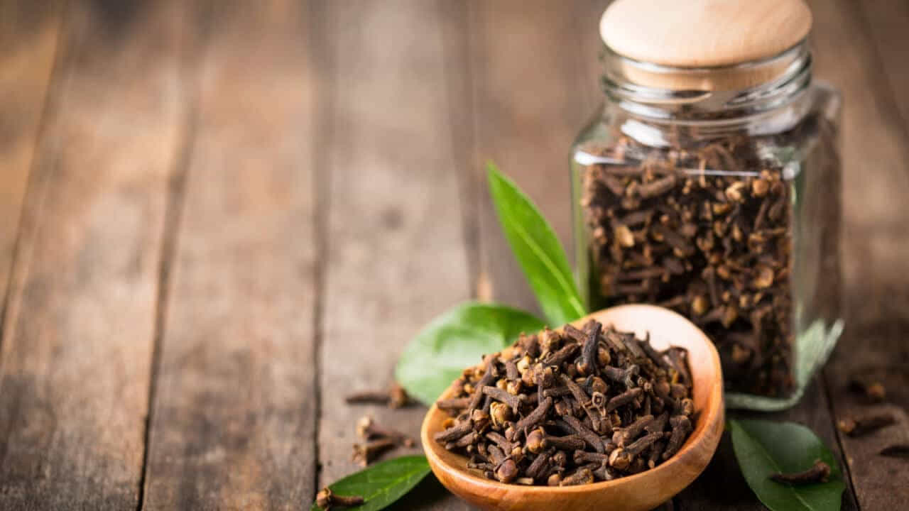 ఆరోగ్యకరమైన కాలేయం: లవంగాలు తినడం వల్ల కాలేయం కూడా ఆరోగ్యంగా ఉంటుంది. ఇది మీ శరీరాన్ని నిర్విషీకరణ చేయడమే కాదు ఆరోగ్యానికి కూడా చాలా ప్రయోజనకరంగా ఉంటుంది. ఫ్యాటీ లివర్ తో బాధపడేవారు నిపుణుల సలహా మేరకు రోజూ లవంగం నీరు త్రాగాలి లేదా నమలాలి.