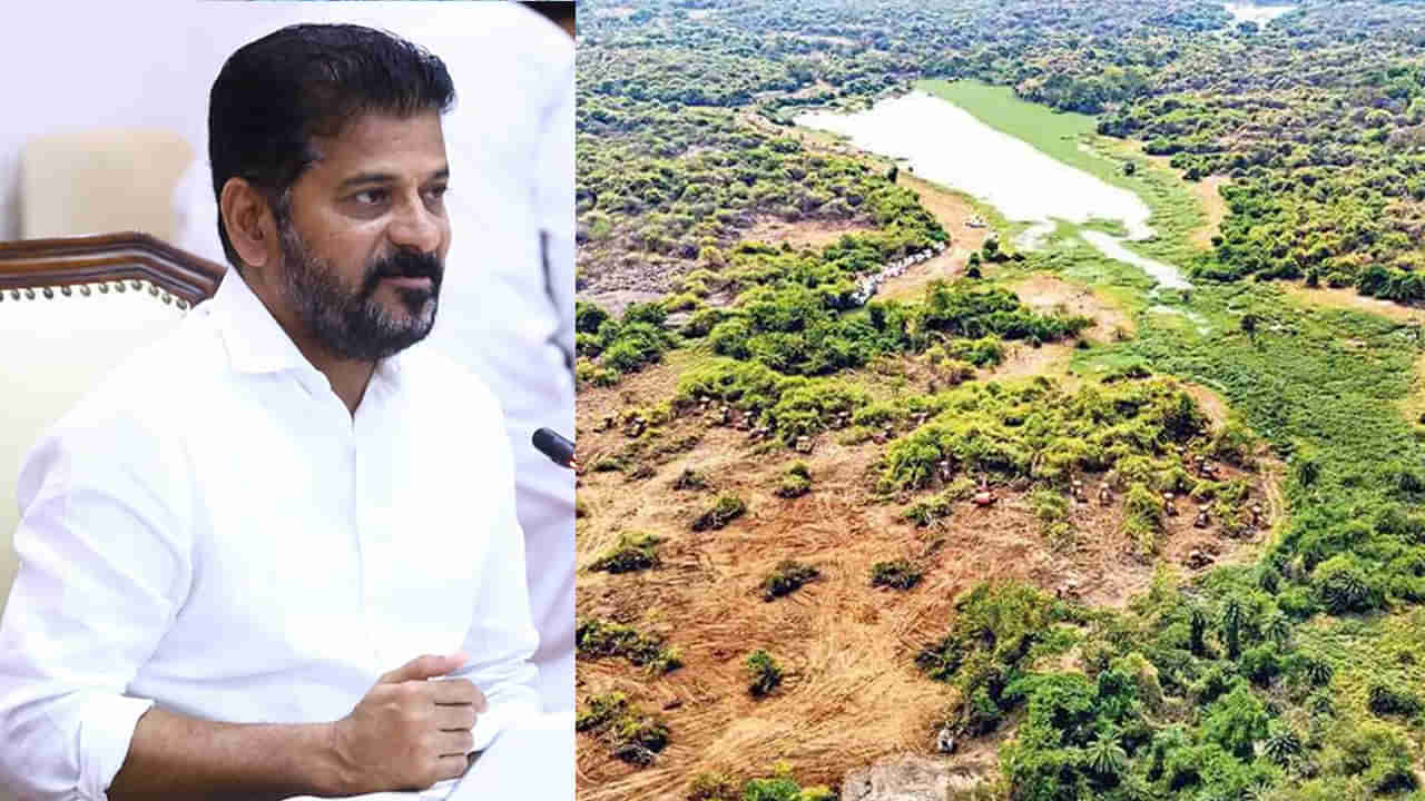 HCU Lands Row: కంచ గచ్చిబౌలి భూముల వివాదంపై రేవంత్ సర్కార్ సంచలన నిర్ణయం.. ఆ విషయంలో..