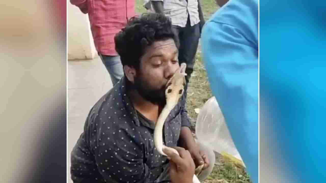 Watch: నాగుపాముతోనే పరాచకం.. హద్దు మీరి ముద్దు పెట్టి..!